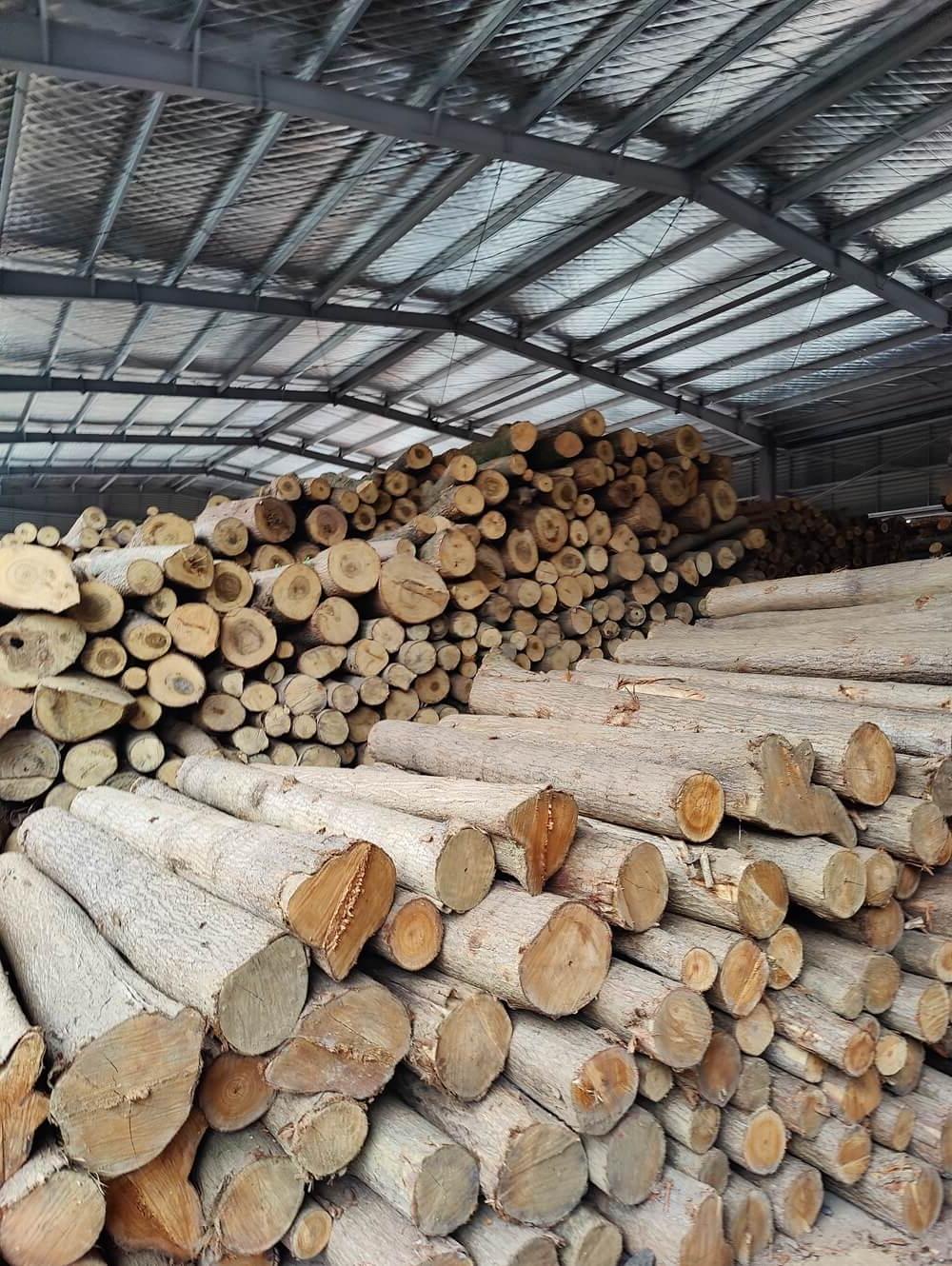 Log processing 2